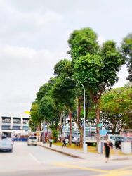Geylang Road (D14), Shop House #584715851